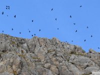 2026-10-24 Il Sassone 070
